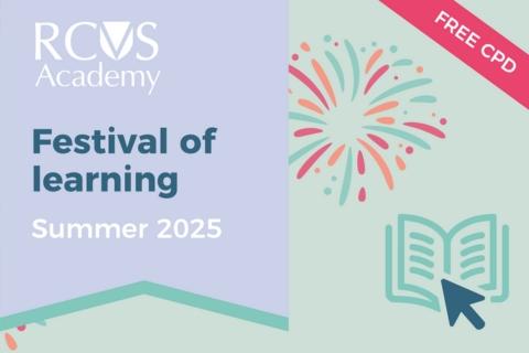 Academy Festival of Learning thumbnail