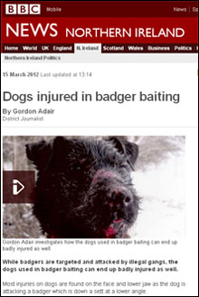 BBC News website