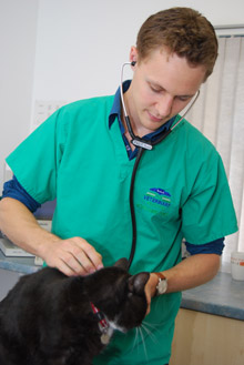 Newly qualified veterinary surgeon