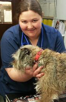 Michelle Kirk, BSAVA competition winner