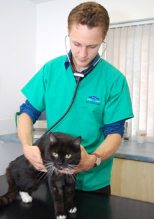 New veterinary graduate with cat