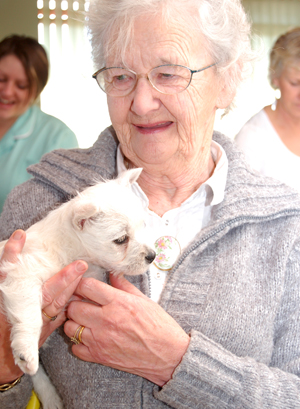 Animal owner with dog