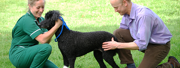 RCVS Specialist, registered veterinary nurse and canine patient