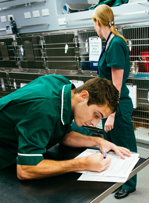 Veterinary nurses in practice