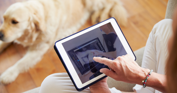 Dog owner with tablet