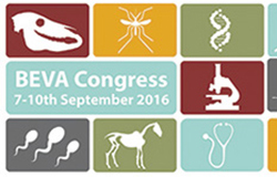 BEVA Congress 2016 logo