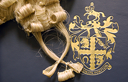 RCVS Disciplinary Committee