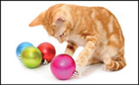 Remember to include vet care in Christmas planning