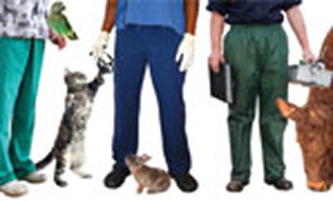 Choosing your GCSE/Standards options? Why not consider a veterinary career...