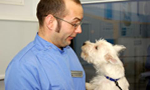Veterinary surgeon and patient