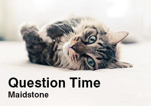 RCVS Question Time - Maidstone 