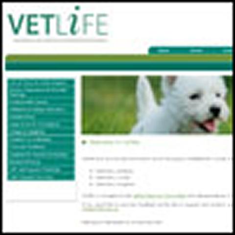 Veterinary nurses’ views needed by wellbeing website