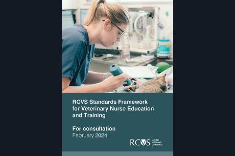 Front cover of the VN Standards Framework for Education and Training February 2024 