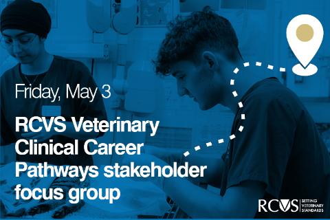 Veterinary Clinical Career Pathways stakeholder focus groups