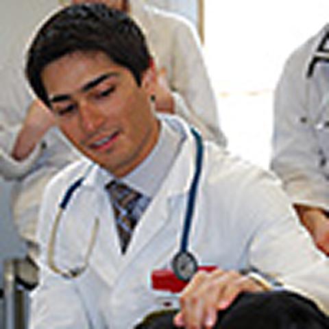 Veterinary undergraduates: EMS Scholarships deadline approaching