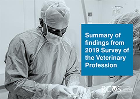 Summary of findings from the 2019 Survey of the Veterinary Profession