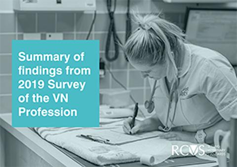 Summary of findings from the 2019 Survey of the Veterinary Nursing Profession