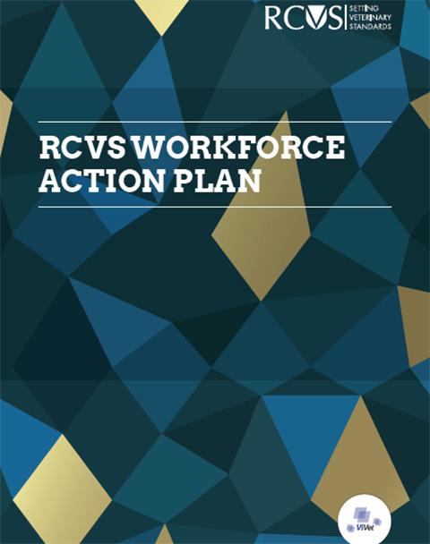 RCVS Workforce Action Plan