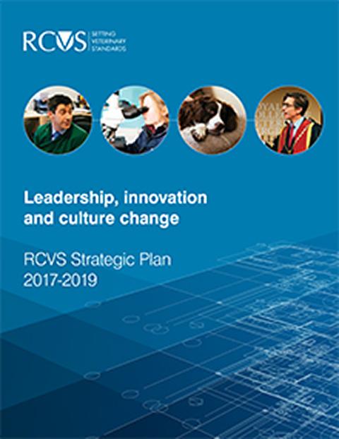 RCVS Strategic Plan (2017 - 2019) 