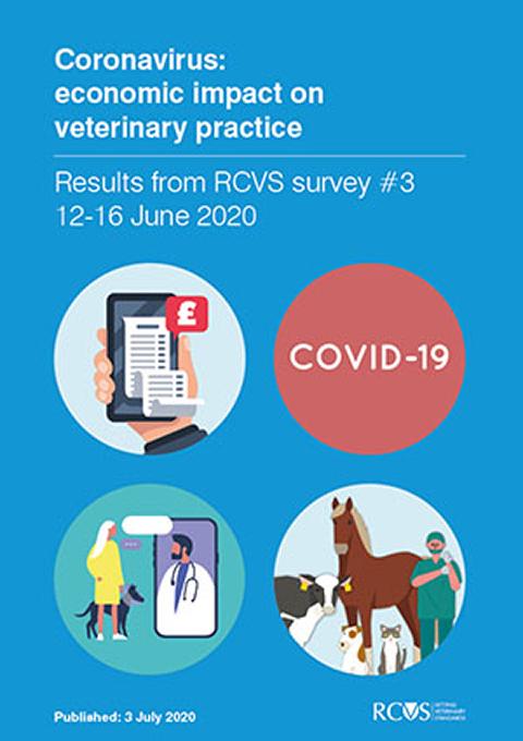 RCVS survey #3 on the economic impact of Covid-19 on veterinary clinical practices