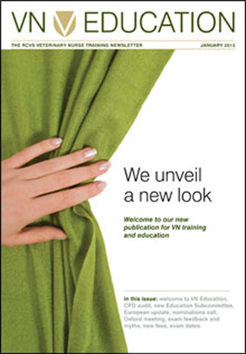VN Education (January 2013)