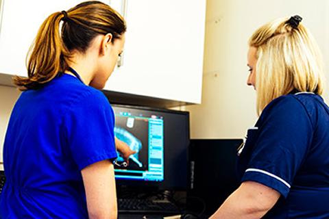 Veterinary surgeon and nurse viewing an x-ray