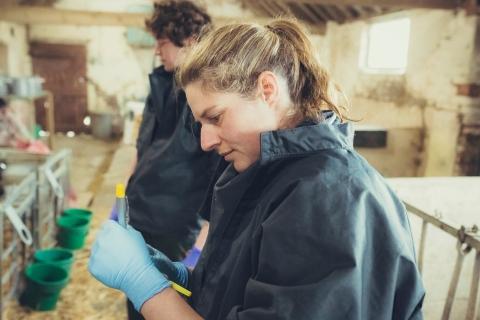 Side profile of vet on farm