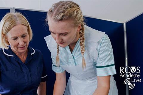 Student veterinary nurse and clinical coach 