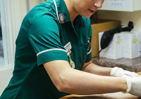 Veterinary nurse with dog