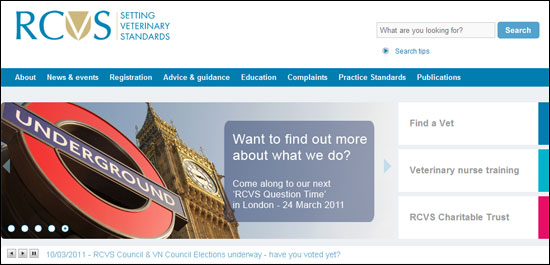 Screen grab from new website