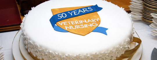 VN 50th anniversary cake