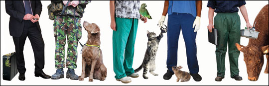Cover of 'Veterinary science...for all walks of life' 