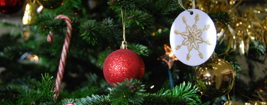 RCVS Trust Christmas Tree of Hope