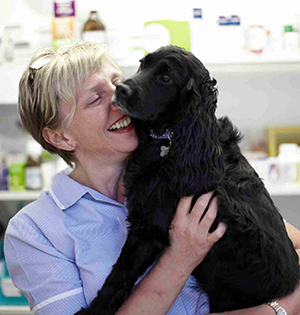 Lady with dog