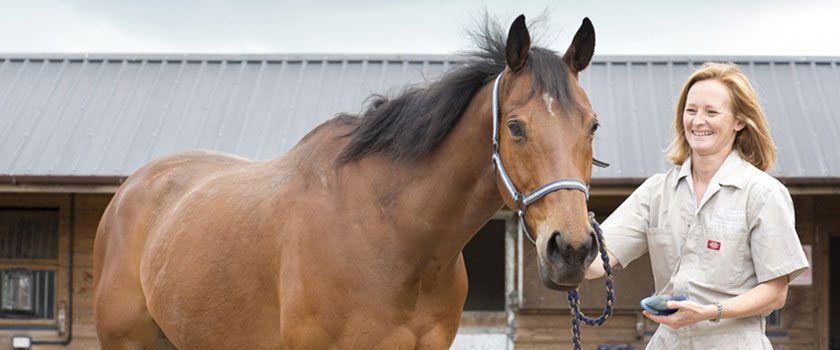 RCVS Impact Award 2019 winner Professor Sarah Freeman with a horse