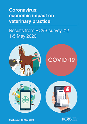 Front cover of RCVS Covid-19 impact survey report