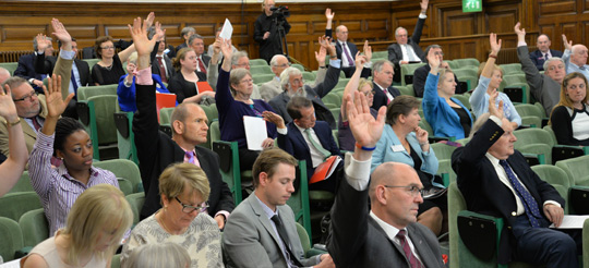 Veterinary surgeons voting to submit the Royal Charter proposals to the Privy Council for approval