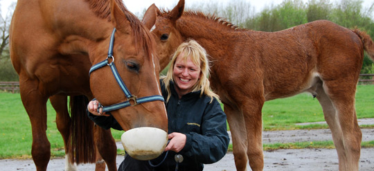 Veterinary surgeon with horses