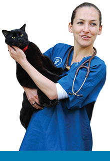 Veterinary surgeon and cat