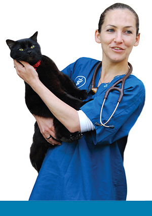 Veterinary surgeon and cat