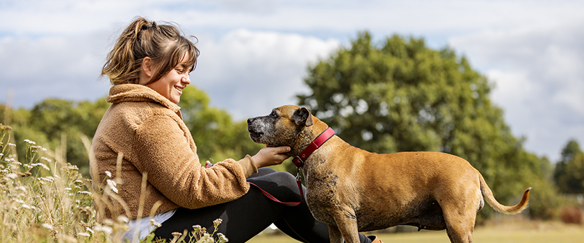 Scout and Roo Bear are featured in the Your Kind of Vet digital Practice Standards Scheme campaign 