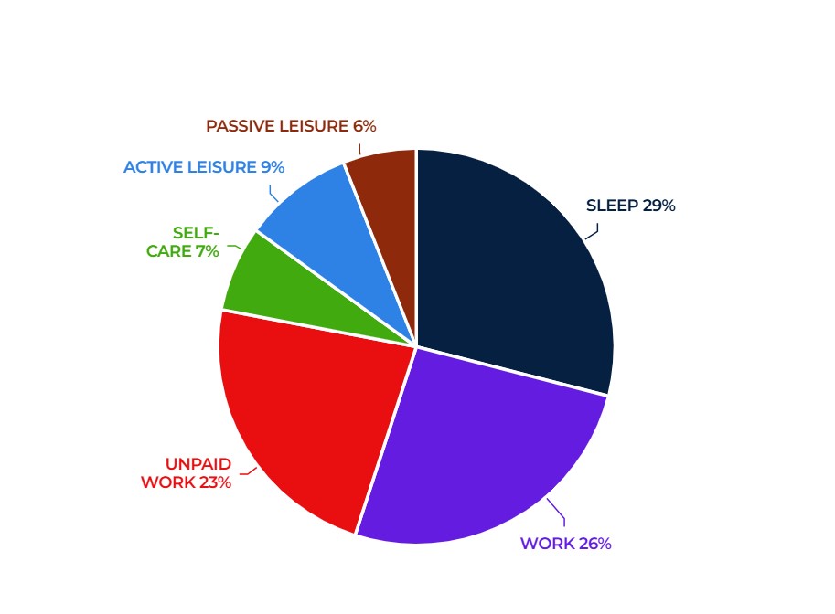 Pie chart showing occupational balance percentages