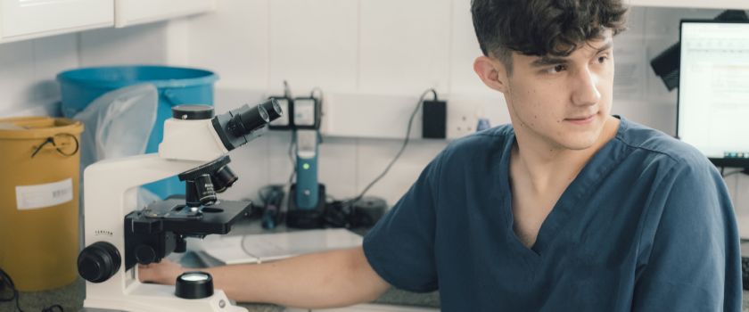A young male veterinarian is seated at a microscope.