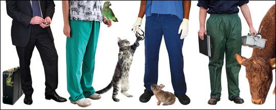 Veterinary Biomedical Science Jobs Uk