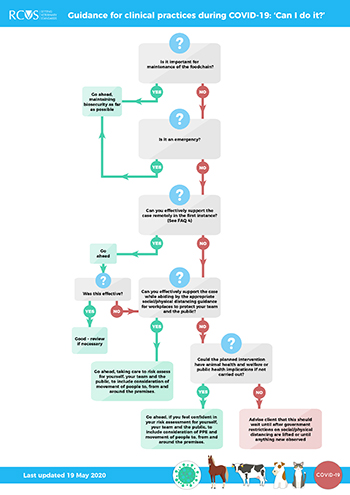 Updated flowchart poster