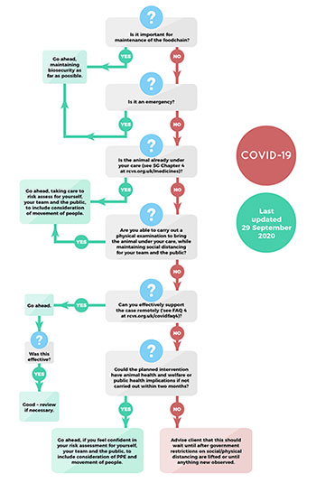 Coronavirus practice flow chart