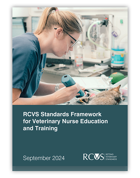 VN Standards Framework September 2024 front cover