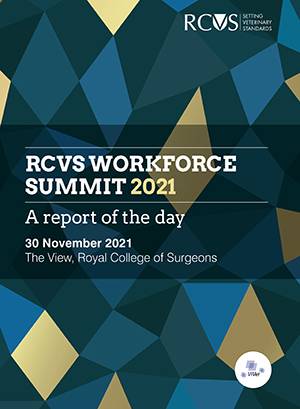 Cover of the workforce summit report 2021
