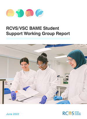 Image of the front cover of the RCVS/VSC BAME Student Support Working Group Report 