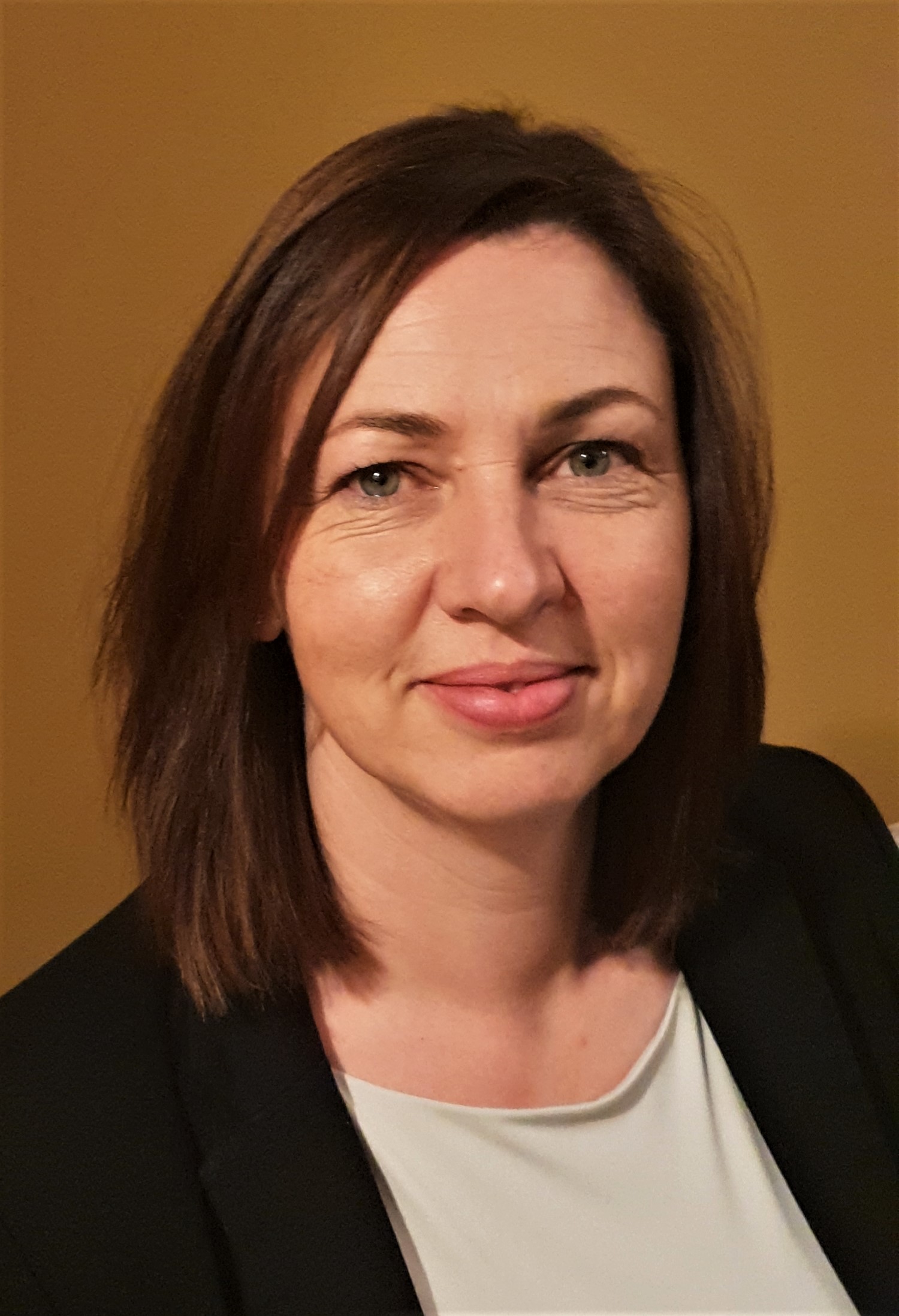 Liz Cox VN Council 2019